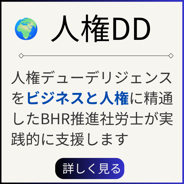 人権DD