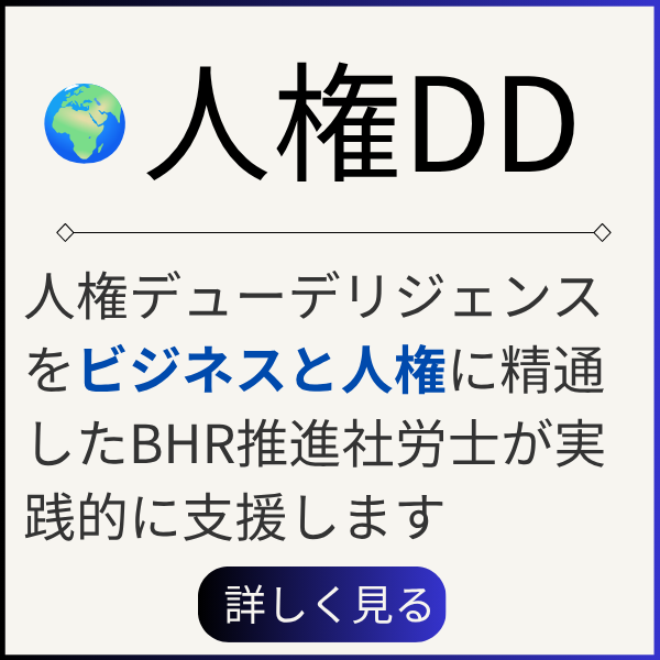 人権DD